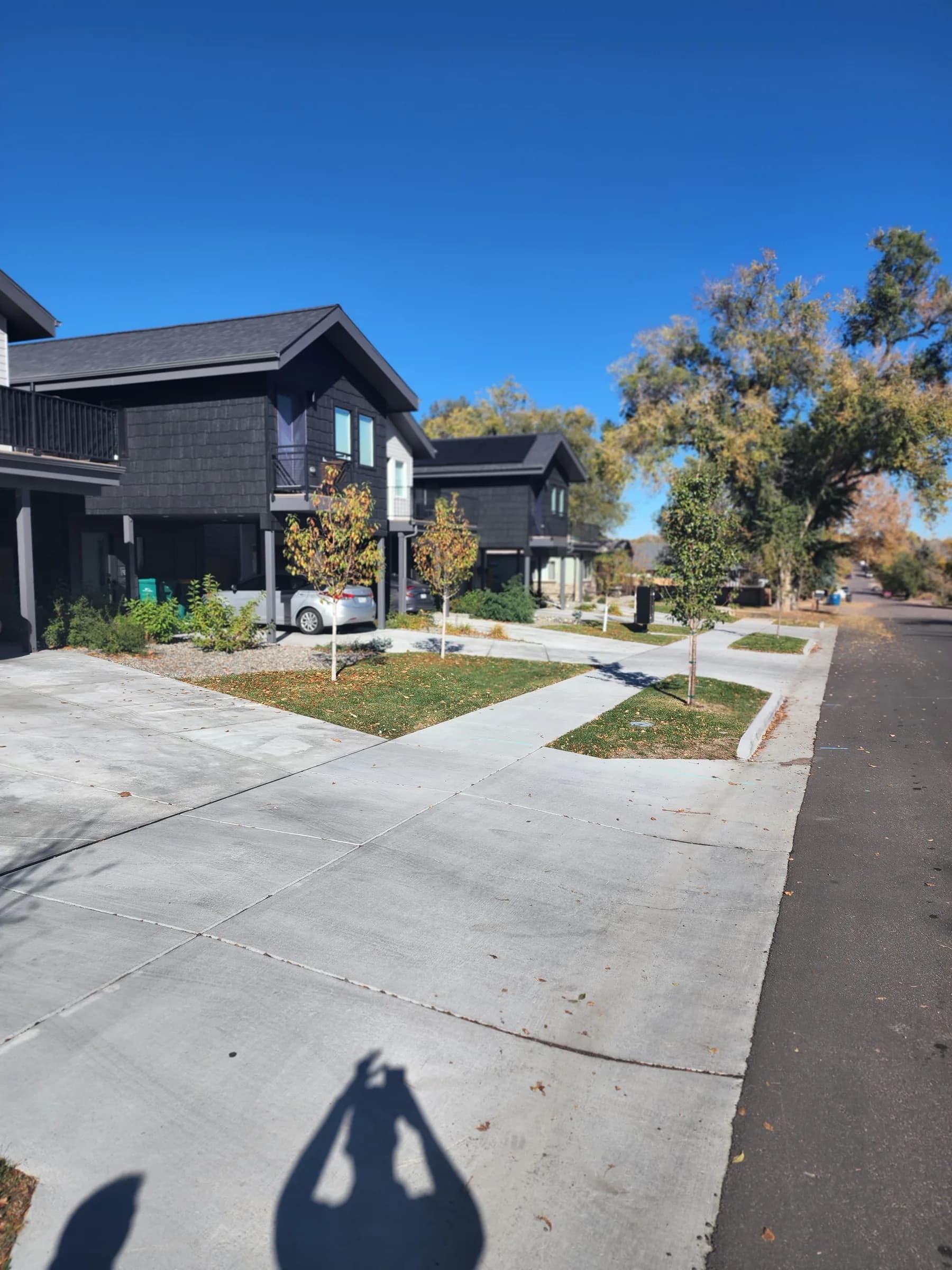 New two-story infill homes with carports, young street trees and a new sidewalk and curb along the street.