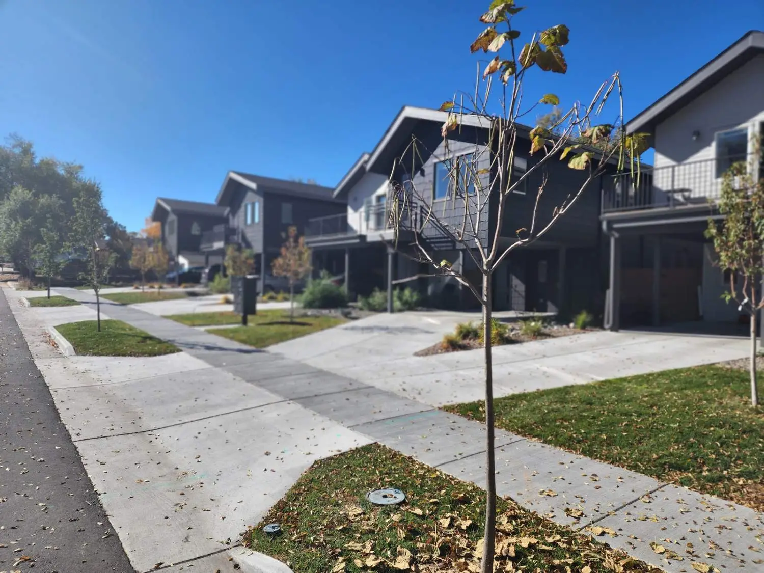 1711 Ingalls Single Family Homes