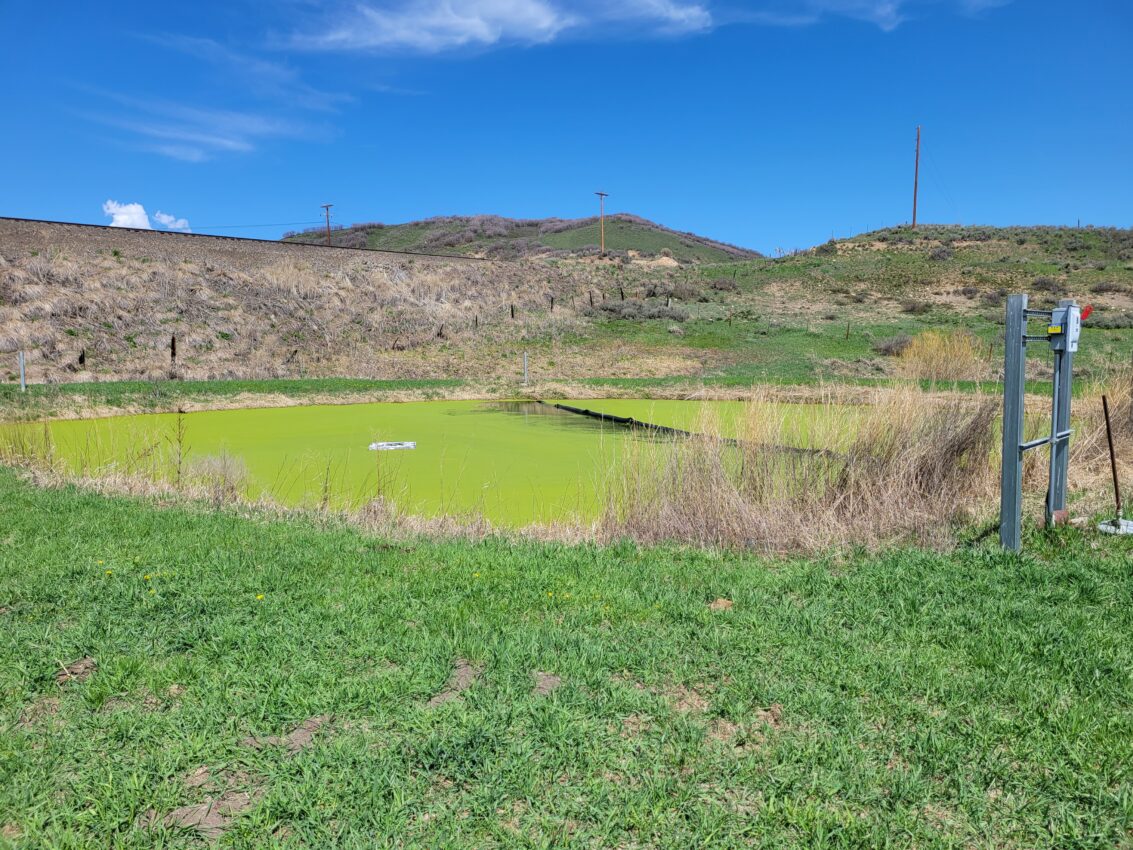 Town of Oak Creek Infiltration and Inflow (I&I) and Water Loss Analysis