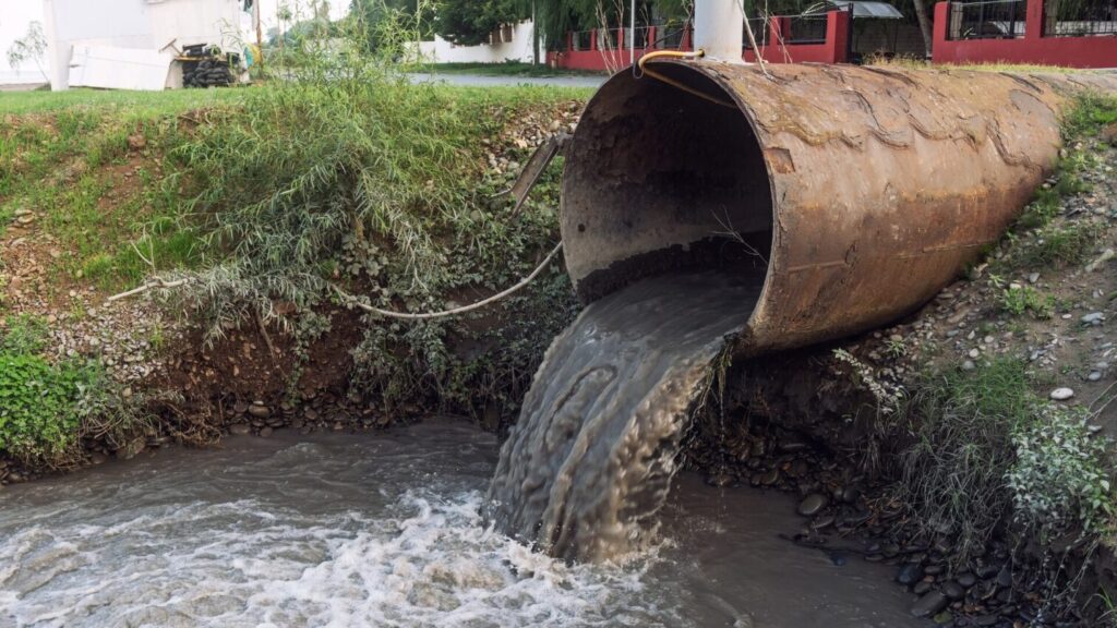 The Role of Environmental Engineers in the Wastewater