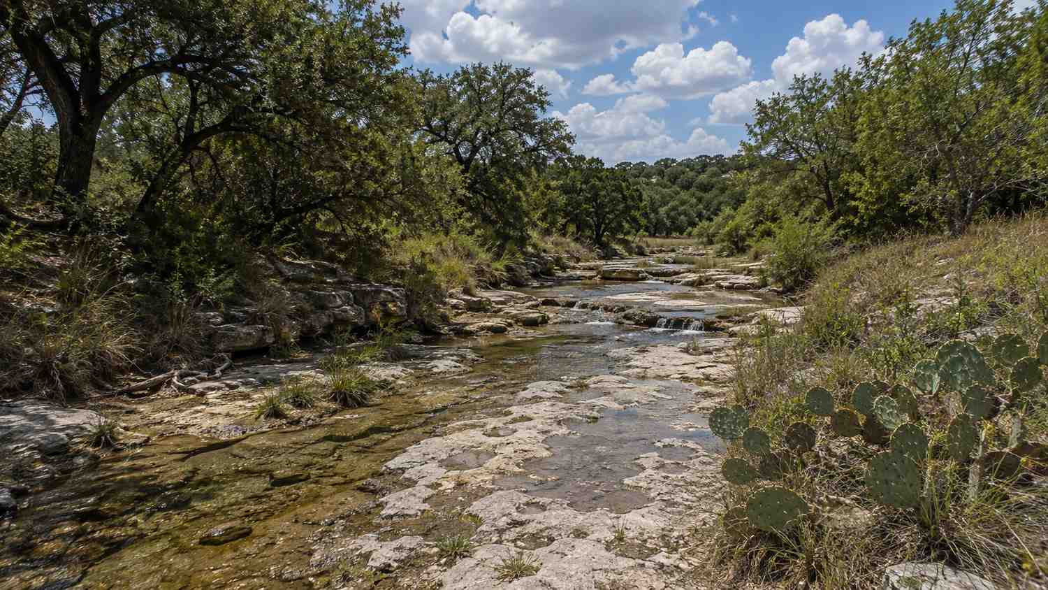 Intermittent stream in Hays County Texas for TPDES receiving water evaluation, representing MES discharge permit services.