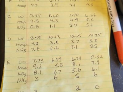 Town of Oak Creek Infiltration and Inflow (I&I) and Water Loss Analysis