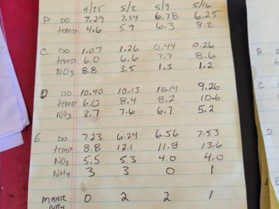 Town of Oak Creek Infiltration and Inflow (I&I) and Water Loss Analysis