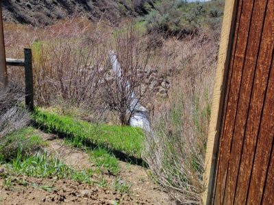 Town of Oak Creek Infiltration and Inflow (I&I) and Water Loss Analysis