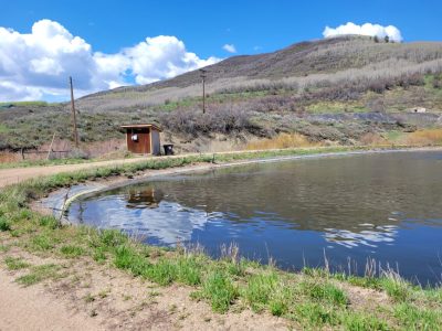 Town of Oak Creek Infiltration and Inflow (I&I) and Water Loss Analysis