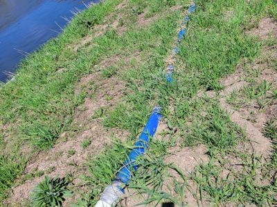 Town of Oak Creek Infiltration and Inflow (I&I) and Water Loss Analysis