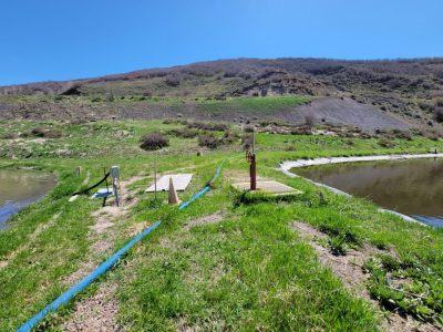 Town of Oak Creek Infiltration and Inflow (I&I) and Water Loss Analysis