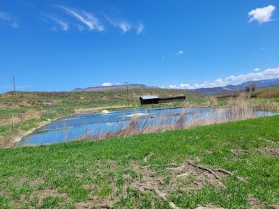 Town of Oak Creek Infiltration and Inflow (I&I) and Water Loss Analysis