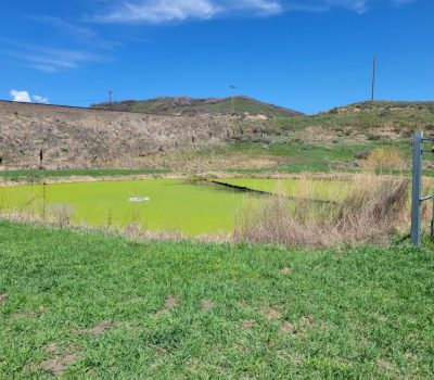 Town of Oak Creek Infiltration and Inflow (I&I) and Water Loss Analysis