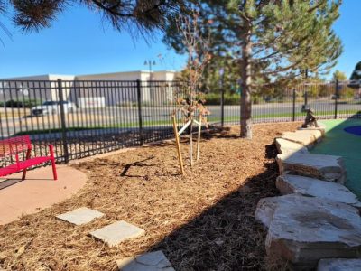 Belmar Library Grading