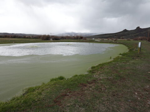 Town of Yampa Wastewater Treatment Plant