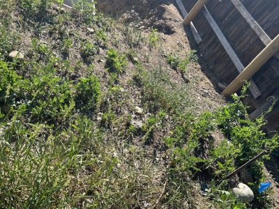 Town of Yampa Collection System Improvements