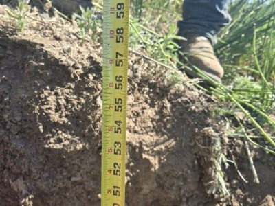 Phippsburg and Milner Collection System Improvements