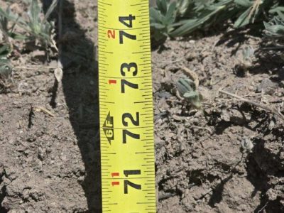 Phippsburg and Milner Collection System Improvements